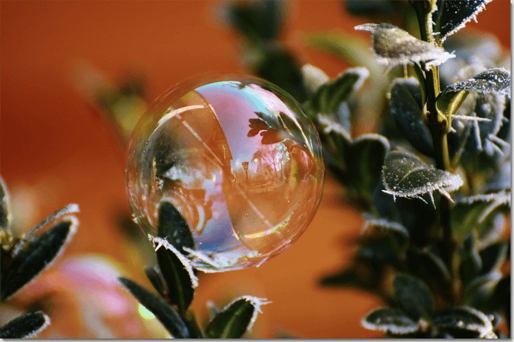 отражение в мыльном пузыре