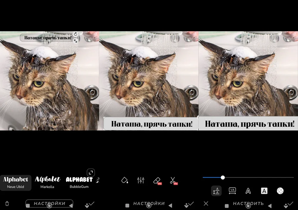 интерфейс приложения Text