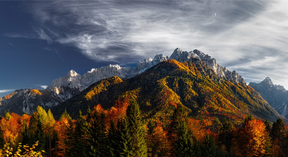 Осенний лес в горах