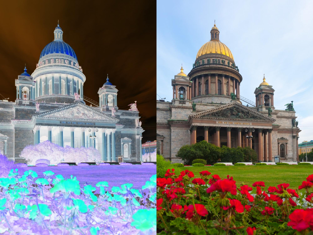 Как перевести негатив в позитив на снимке
