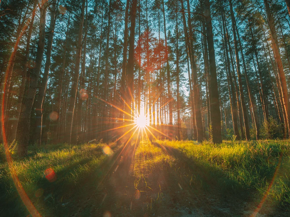 Как сфотографировать лучи