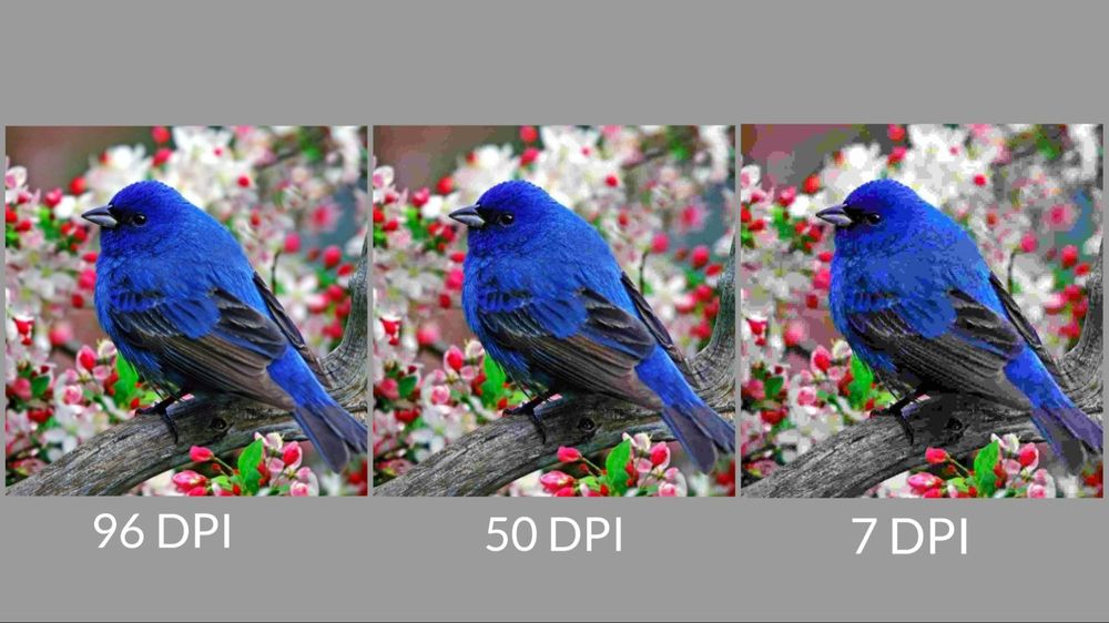 Разница разрешений фото в DPI
