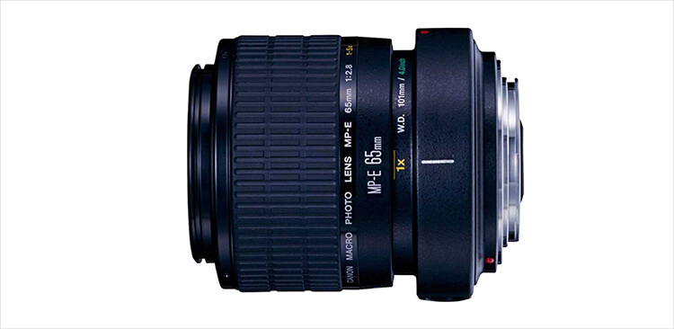 Модель Canon MP-E 65mm f/2.8 1-5x
