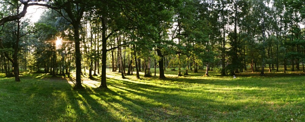 Фото сделанное на фотоаппарат Горизонт