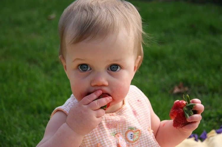 Ребенок кушает клубнику