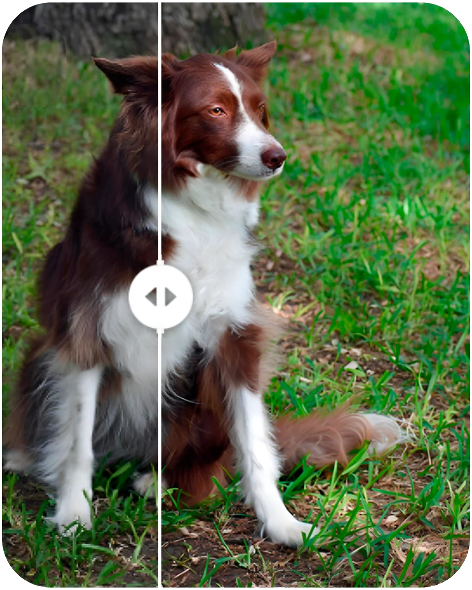 Как убрать пиксели с фото