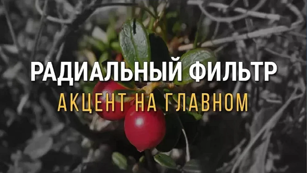 Видео радиальный фильтр